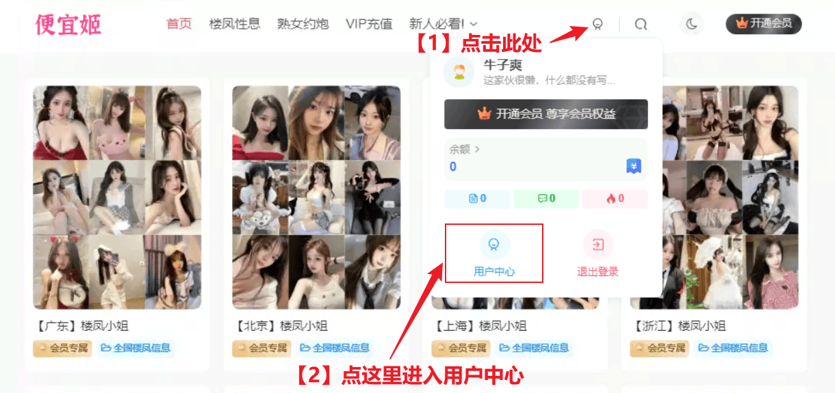 图片[1]-VIP充值教程-便宜姬